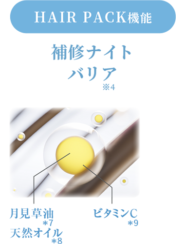 補修ナイトバリア