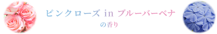 ピンクローズ in ブルーバーベナの香り